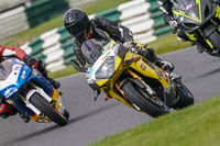 Lower Group Yellow Bikes